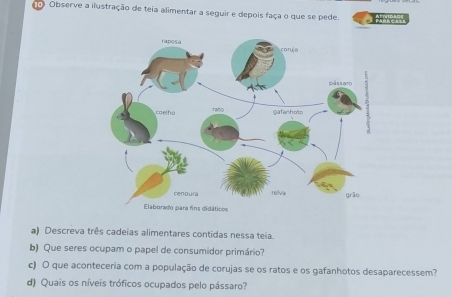 considerando as cadeias alimentares qual papel nós seres humanos ocupamos