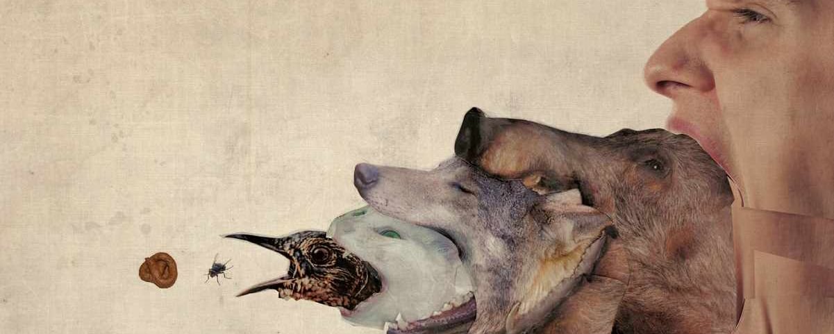 O que são cadeias alimentares e como funcionam?