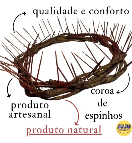 Diferenças entre a Relíquia e a Planta Coroa de Espinhos