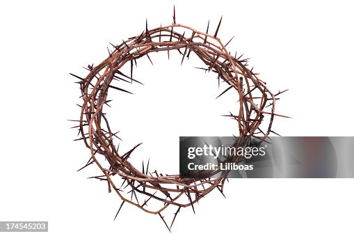 Como Criar uma Réplica da Coroa de Espinhos para Decoração