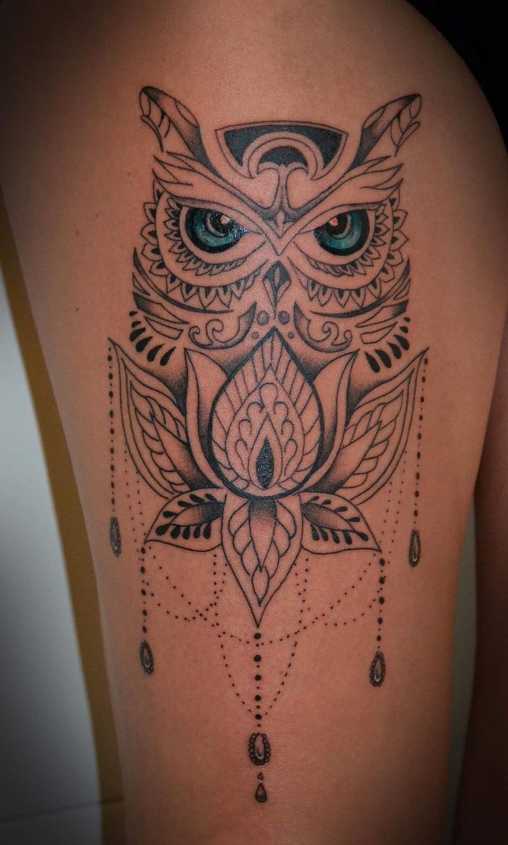 O Dedo Reversível da Coruja: Uma Ferramenta de Predação