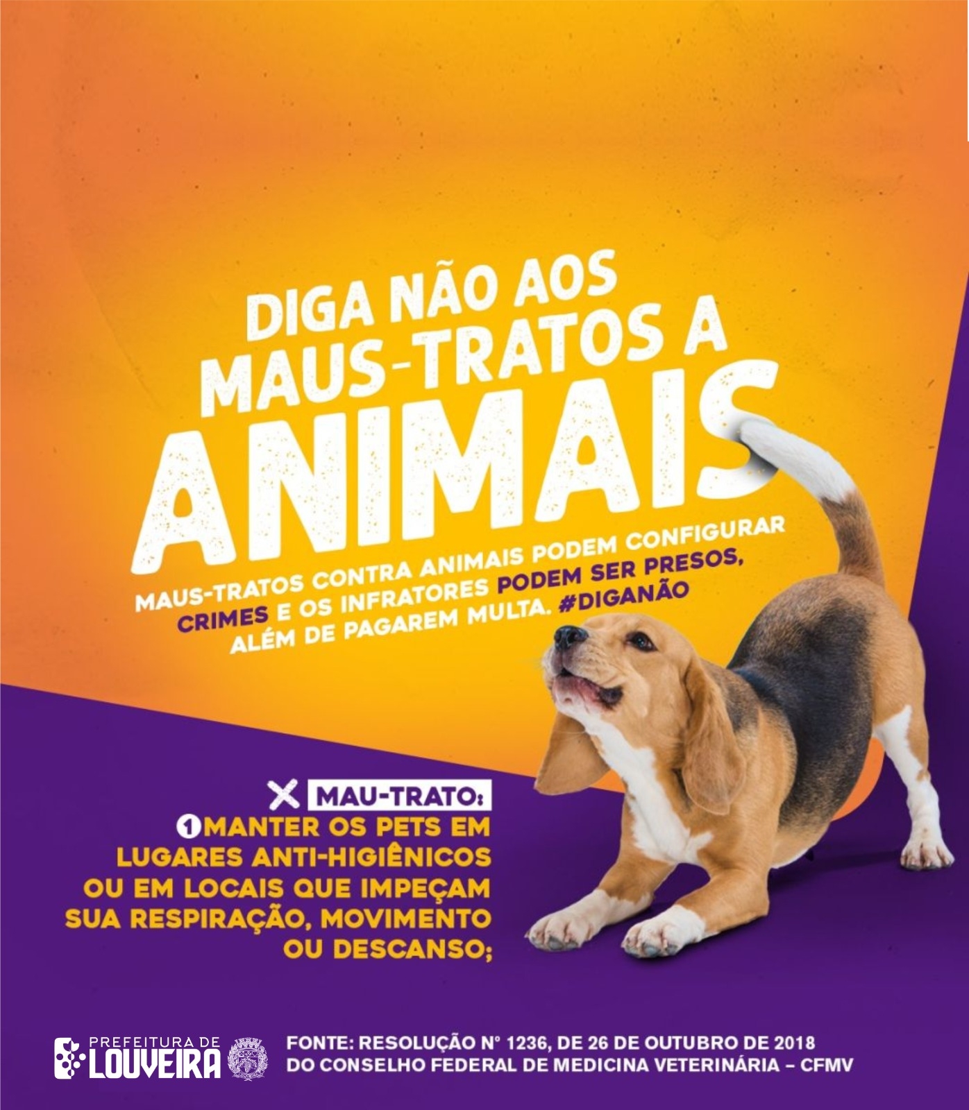 pena maus tratos animais 2026