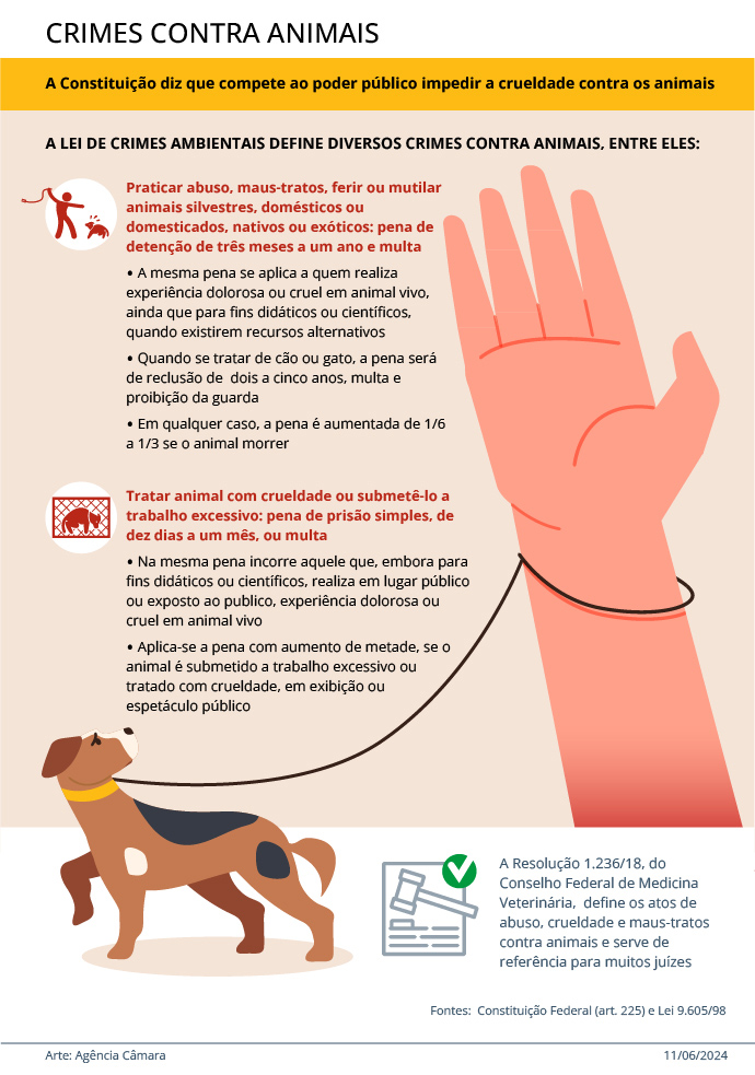 como denunciar abandono de animais