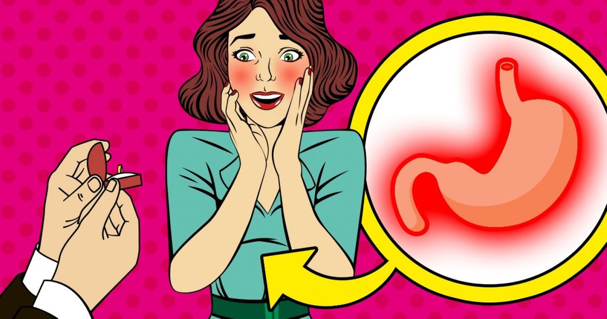 O Incrível Mundo dos Animais: Fatos Surpreendentes que Você Não Sabia