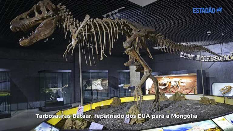 Guia completo dos parques de fósseis na China: Onde ver dinossauros