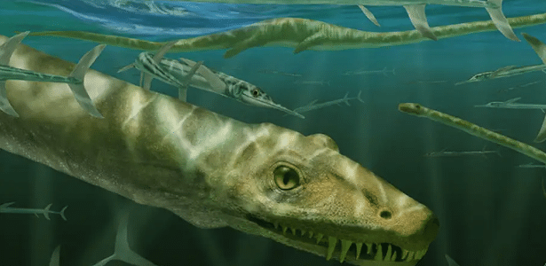 Como a China se tornou o centro da paleontologia mundial