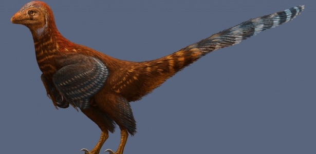 Os segredos da pele e penas dos dinossauros chineses