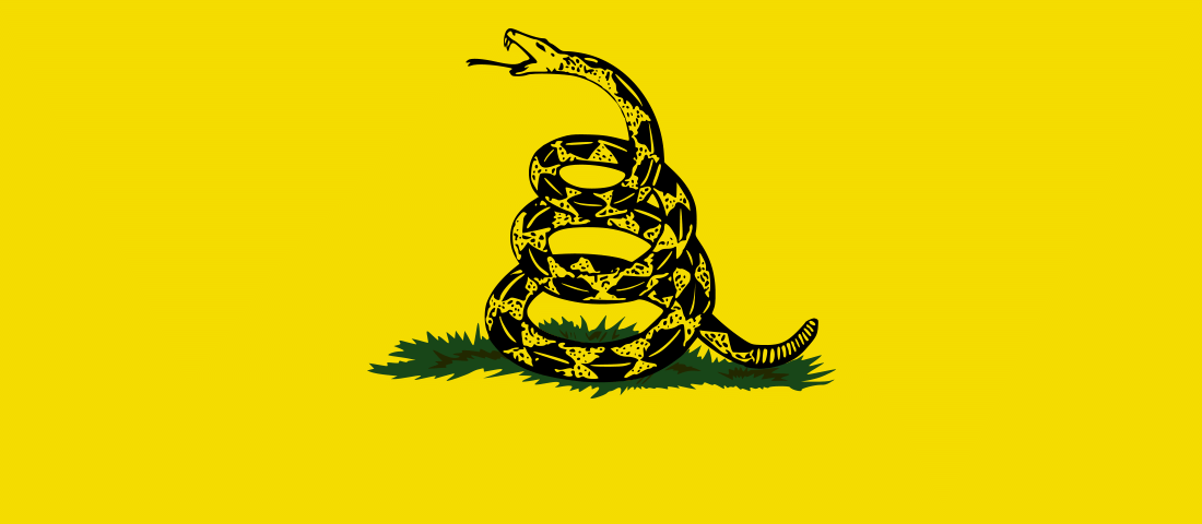 bandeira libertária