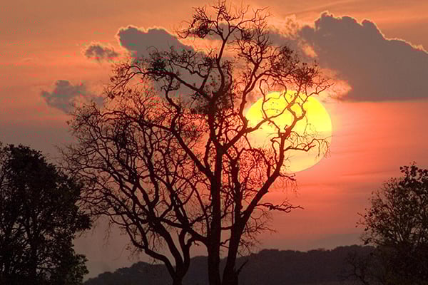 fatos sobre a natureza