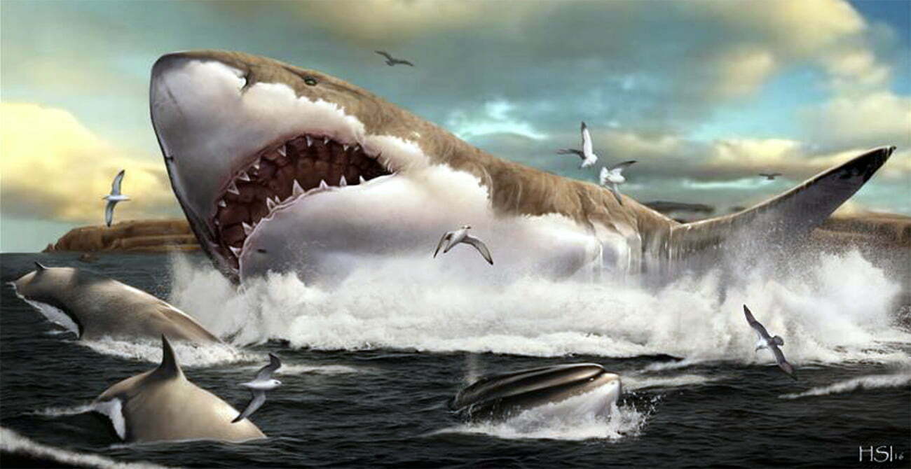 Reconstruções Artísticas do Megalodon: Da Ficção à Ciência