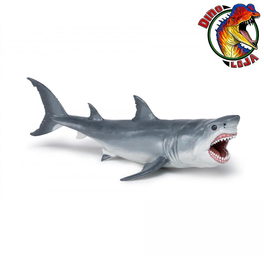 Megalodon: Desvendando a Verdadeira Aparência do Gigante Pré-Histórico