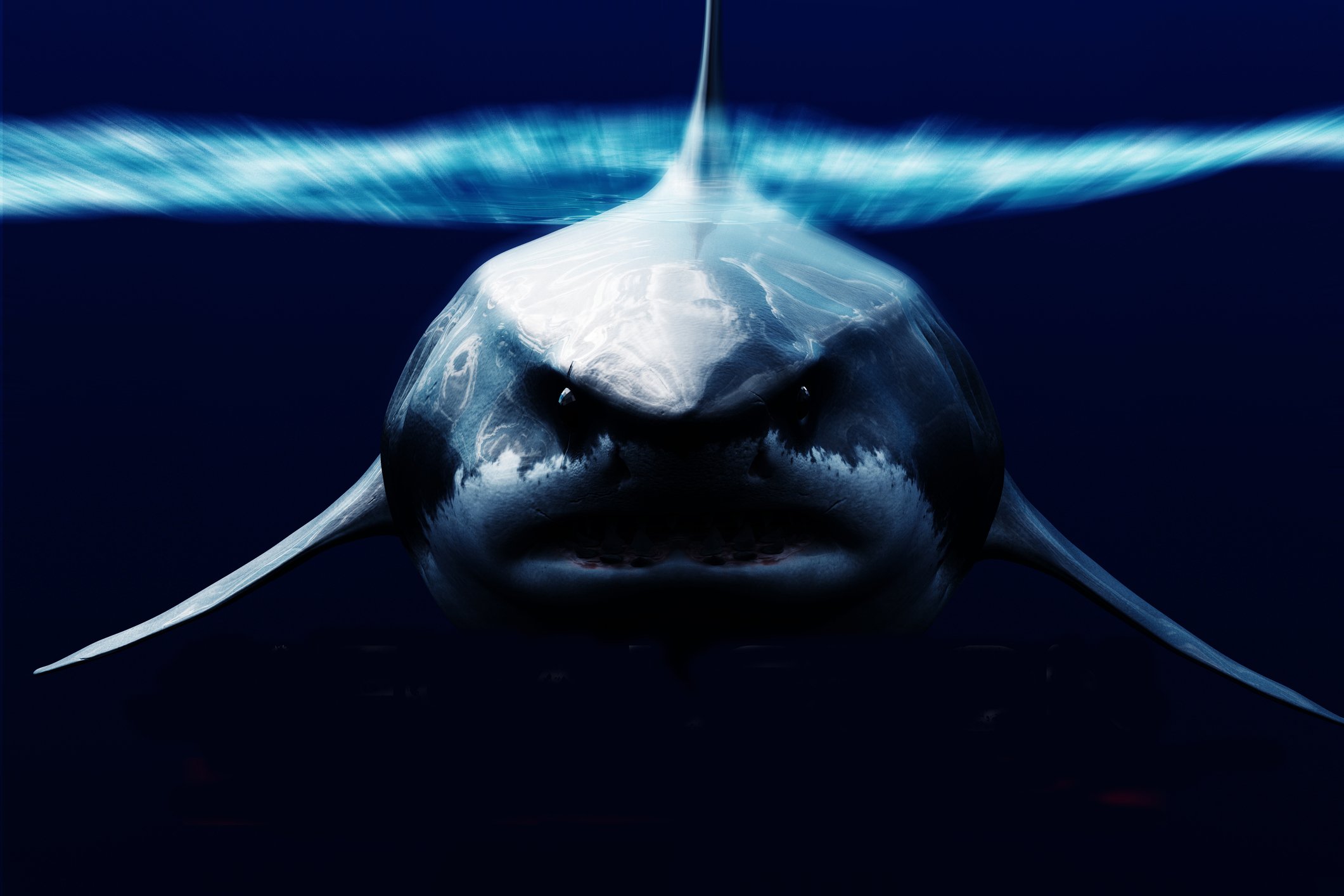 A Extinção do Megalodon: O Que Aconteceu com o Maior Predador dos Oceanos?