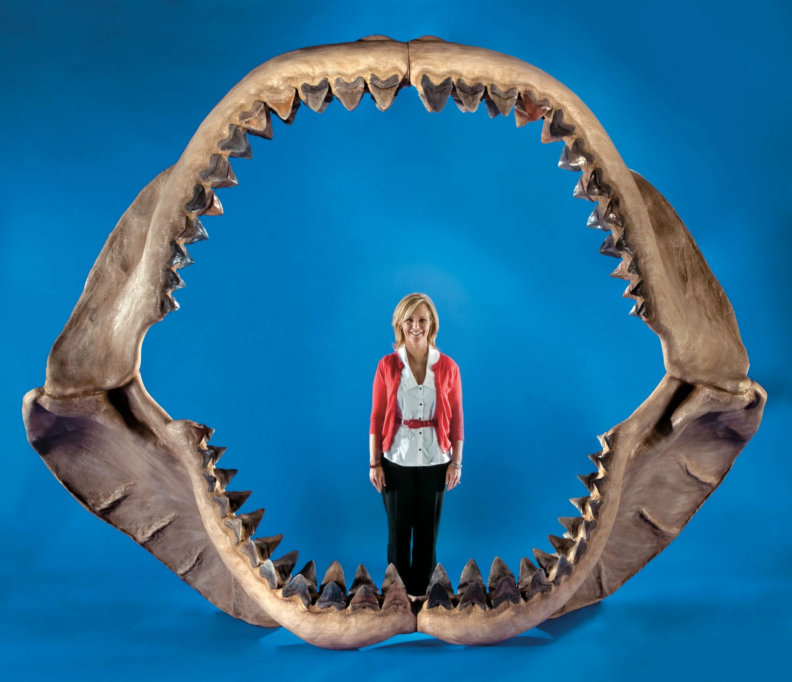 Reconstruções Artísticas do Megalodon: Da Ficção à Ciência