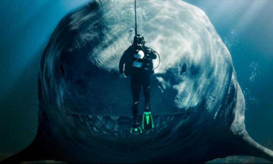 Megalodon vs. Tubarão Branco: Uma Comparação de Tamanho e Poder