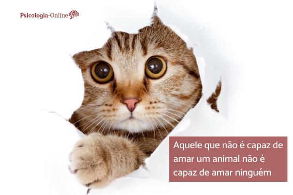 mensagens de gratidão aos pets