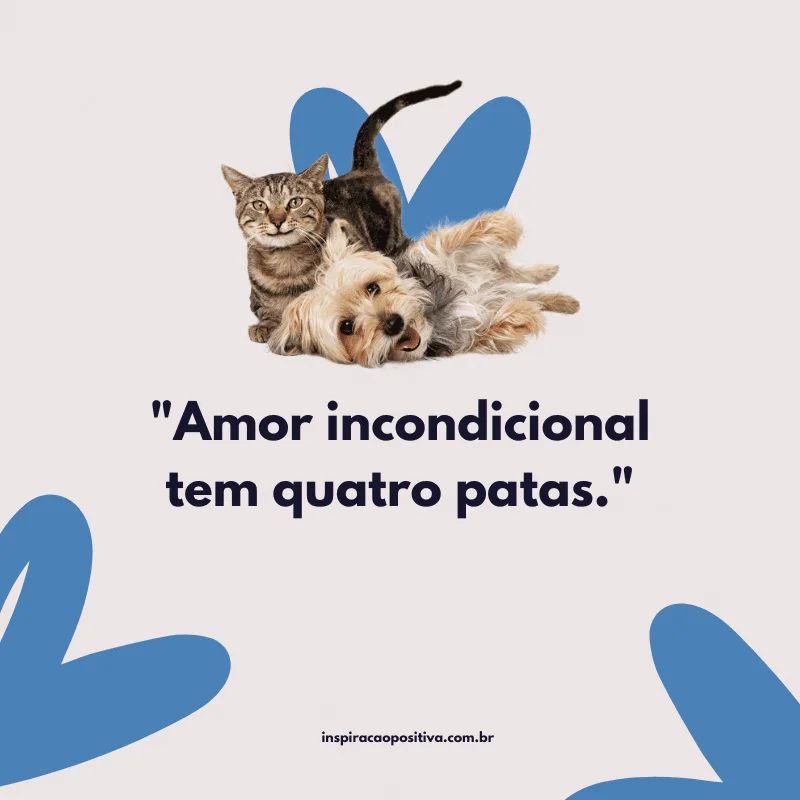 reflexões sobre o comportamento animal