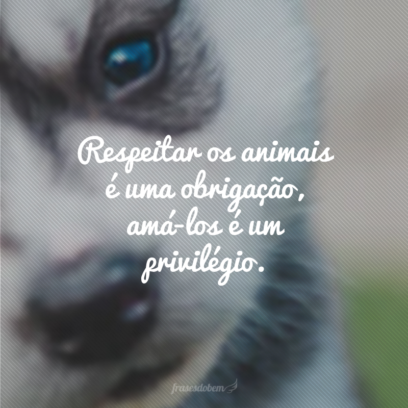 citações sobre a alma dos animais