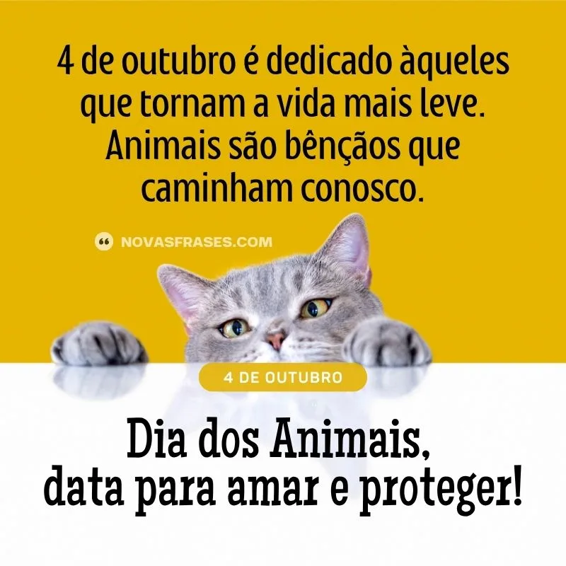 frases curtas para fotos de cachorros