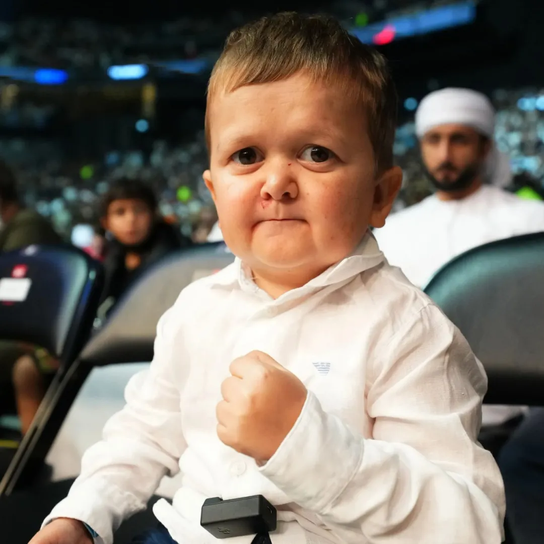 1. A Ascensão de Hasbulla: De Meme a Embaixador do UFC
2. Entendendo a Condição de Hasbulla: Altura