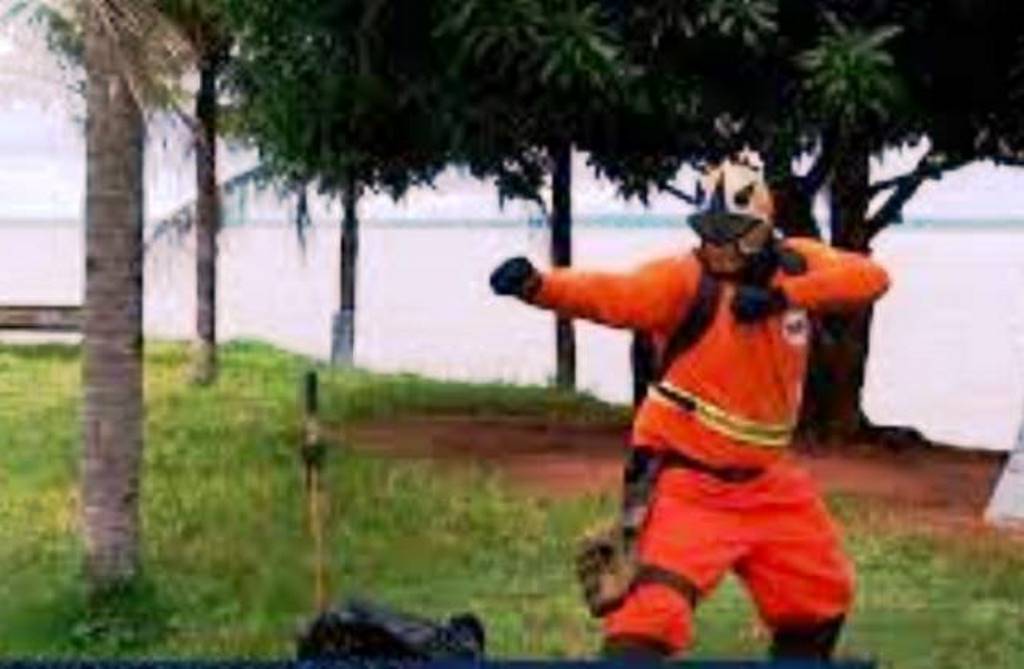 Heróis Brasileiros Esquecidos: Conheça Quem Fez a Diferença