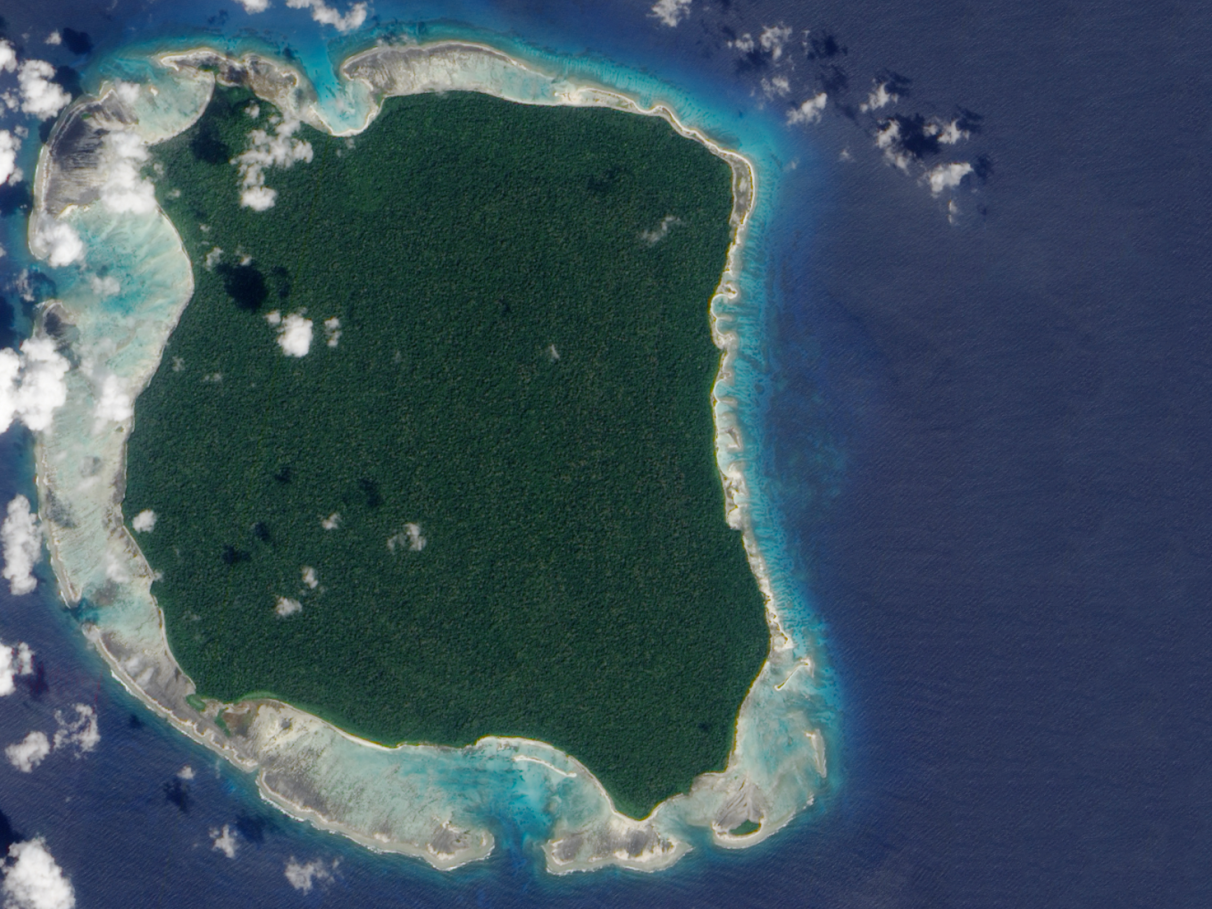 Michael Rockefeller e as Tribos da Nova Guiné: Mitos e Fatos