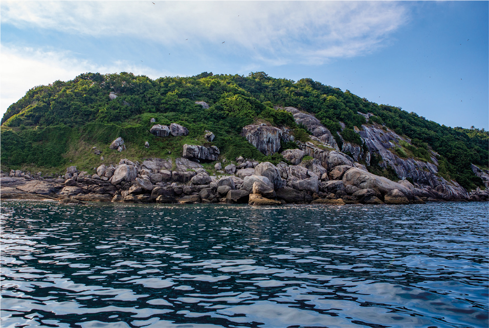 O Mistério da Ilha da Queimada Grande: Por Que Ninguém Pode Visitar?
