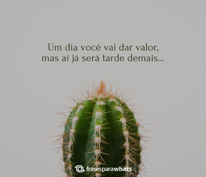 indiretas para marido vs conversa assertiva