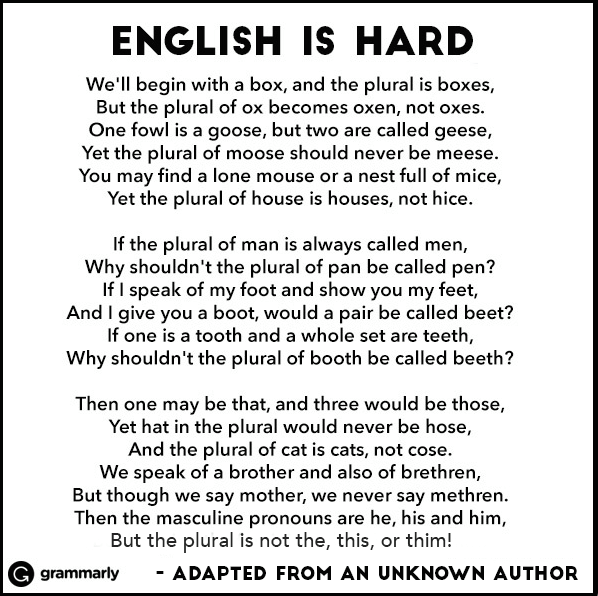 interpretação de texto em ingles