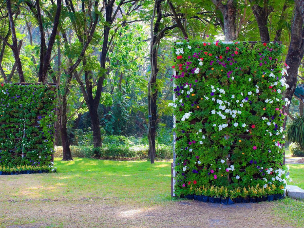 A Verdade por Trás dos Mitos: Jardins Suspensos e a Arqueologia