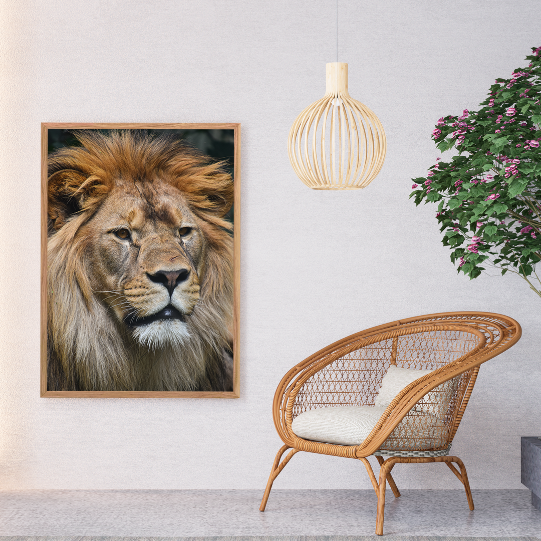 O Simbolismo do Leão-do-Atlas para Marrocos: Da Seleção de Futebol à Cultura