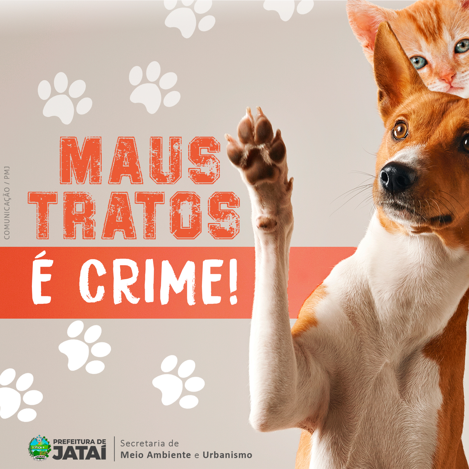 o que caracteriza maus tratos a animais