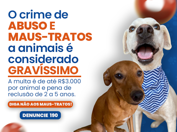 qual a pena para quem maltrata cachorro