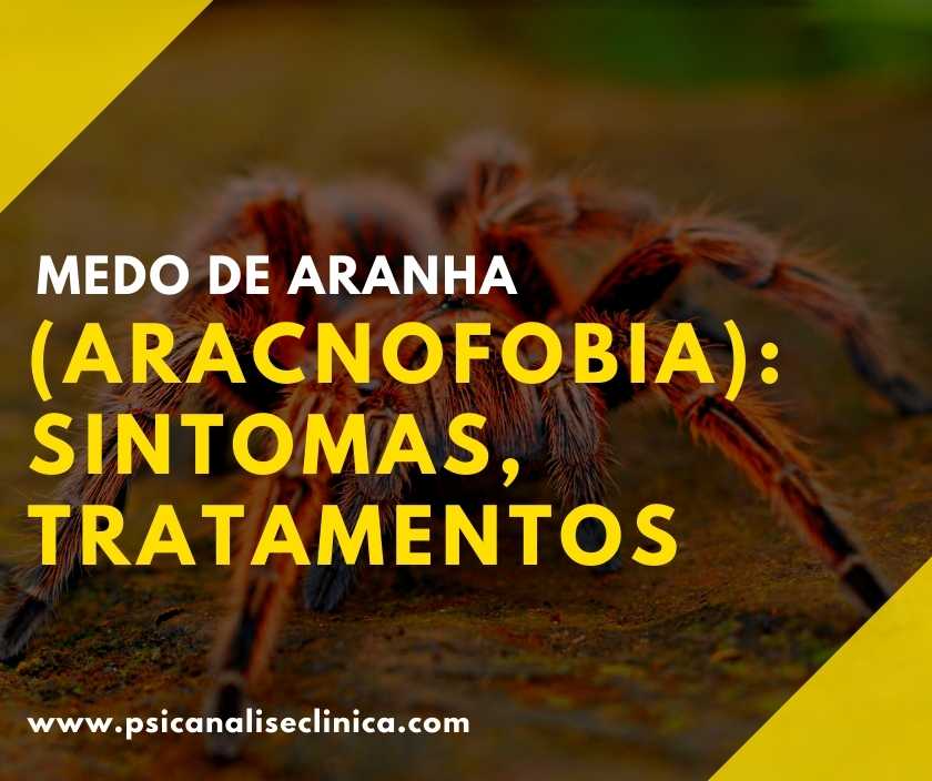 medo de aranha significado