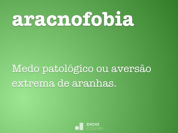 Aracnofobia: Entenda os Sintomas e Quando Buscar Ajuda Profissional