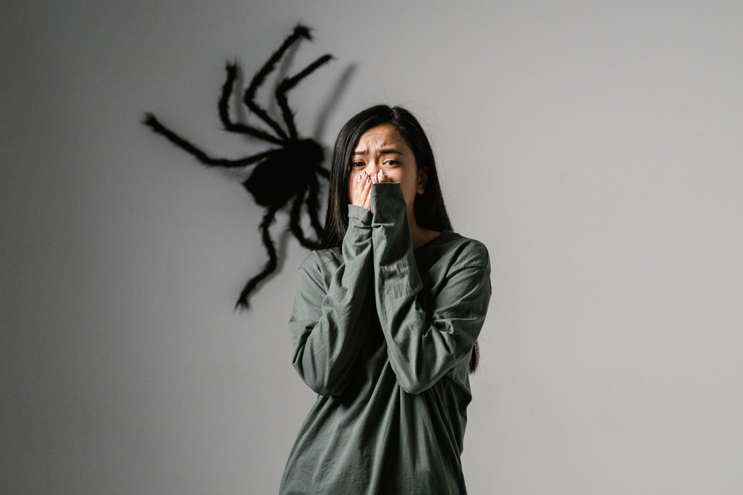 Como a Terapia Cognitivo-Comportamental Ajuda a Superar o Medo de Aranhas