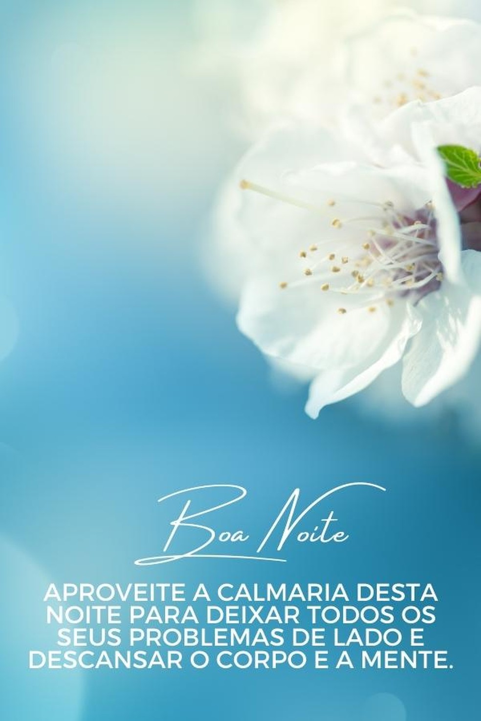 mensagens de boa noite vs mensagens de bom dia