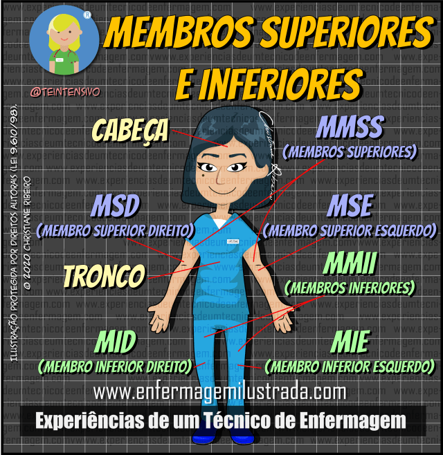 o que significa MMII na medicina