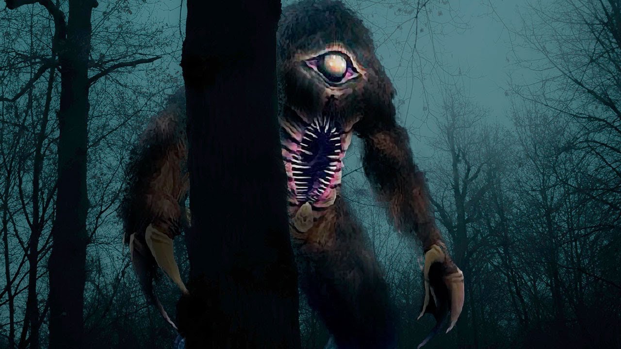 Desvendando os Predadores Reais da Amazônia: Guia Completo