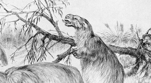 Do Jacaré-Açu ao Candiru: Conheça os Animais Mais Temidos da Amazônia