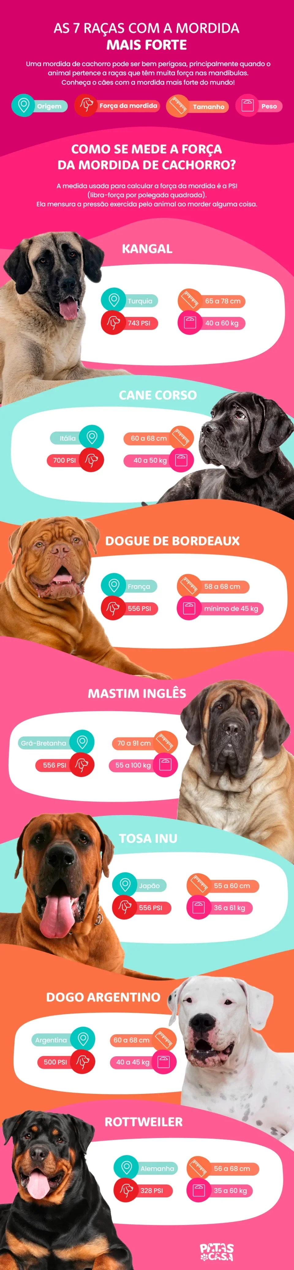 mordidas de cachorro mais forte