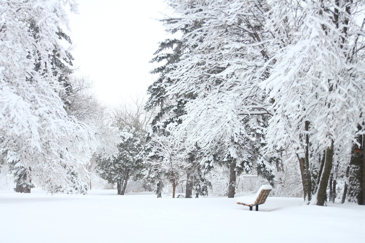 Desvendando o Código Hexadecimal #FFFAFA: Tudo Sobre a Cor Neve no Design Digital