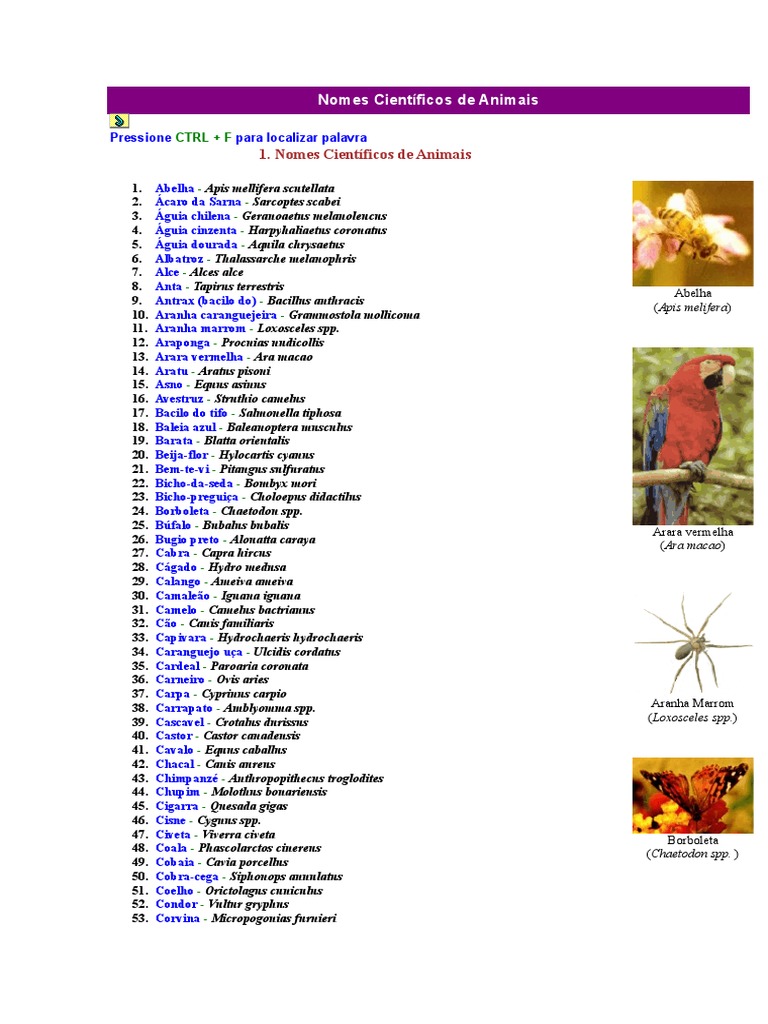 nomes científicos de animais para download