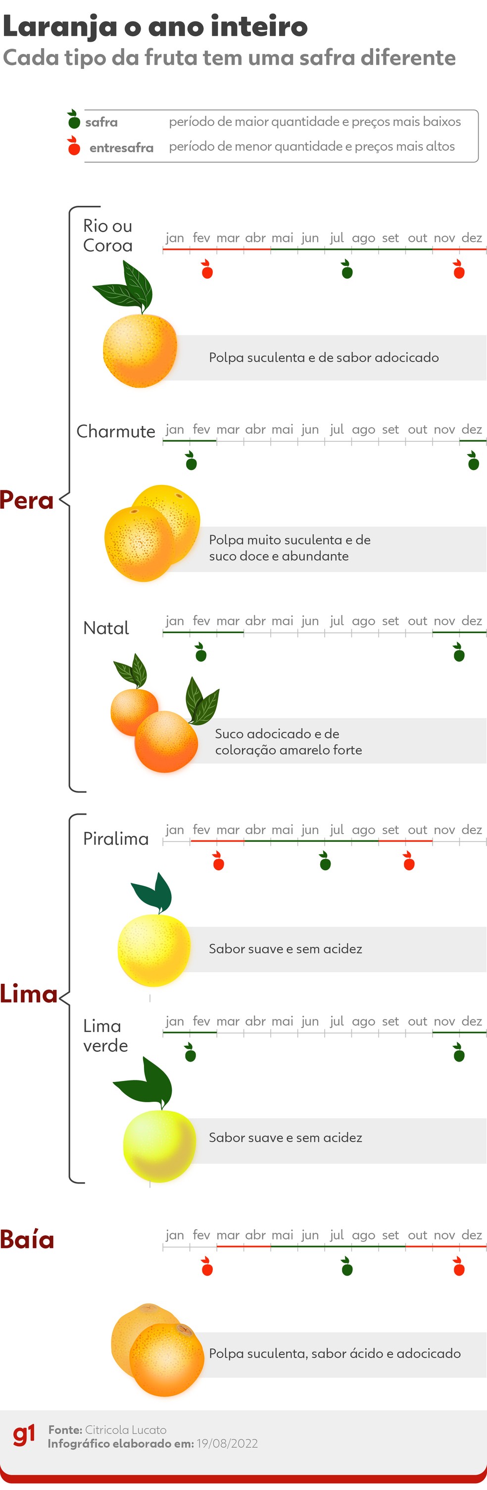 5 ideias de títulos:
1. Guia Completo: Descubra os 10 Tipos de Laranja Mais Populares no Brasil
2. Laranja Pêra vs. Laranja Lima: Qual a Melhor para o Seu Dia?
3. O Poder da Laranja Sanguínea: Benefícios e Usos Culinários
4. Laranja para Bebês e Idosos: A Escolha Ideal é a Laranja Lima?
5. Da Colheita à Indústria: As Variedades de Laranja Essenciais para Sucos
