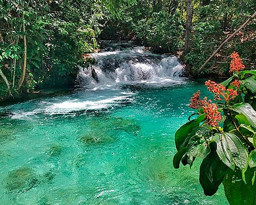 erros comuns ao planejar viagem norte tocantins