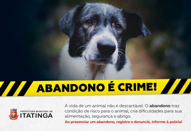 notícias sobre animais