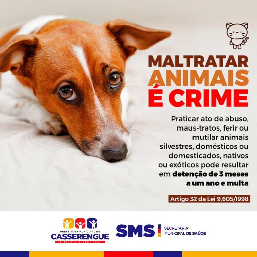 notícias sobre animais