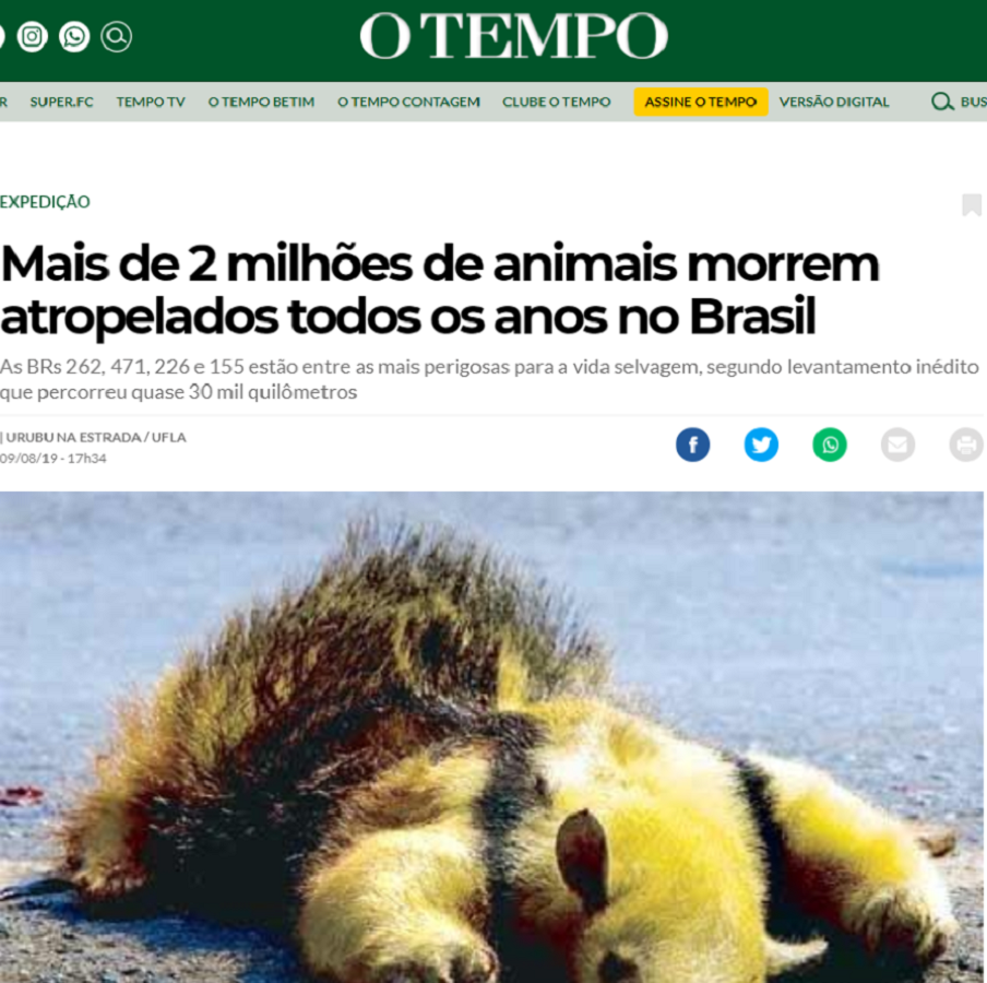 notícias sobre animais