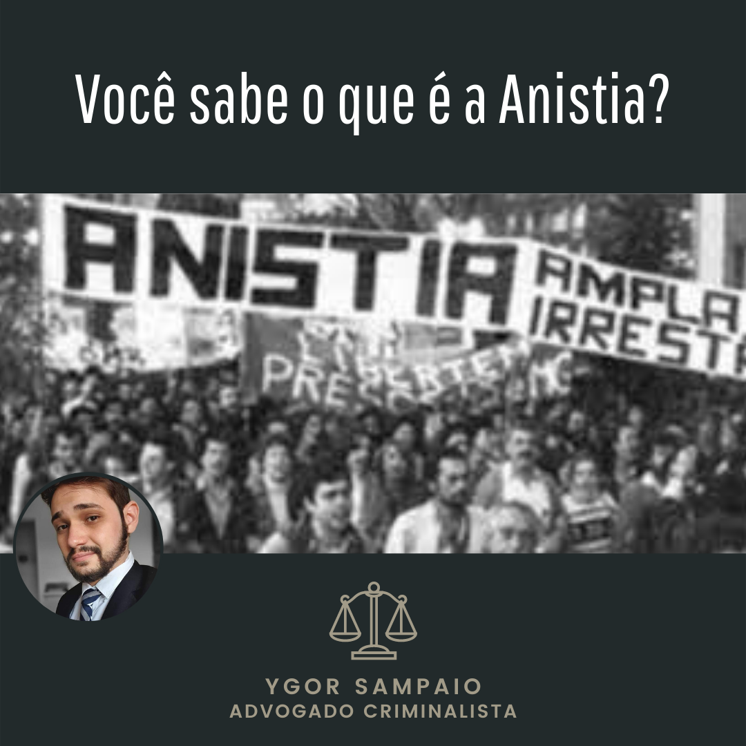 anistia própria e imprópria