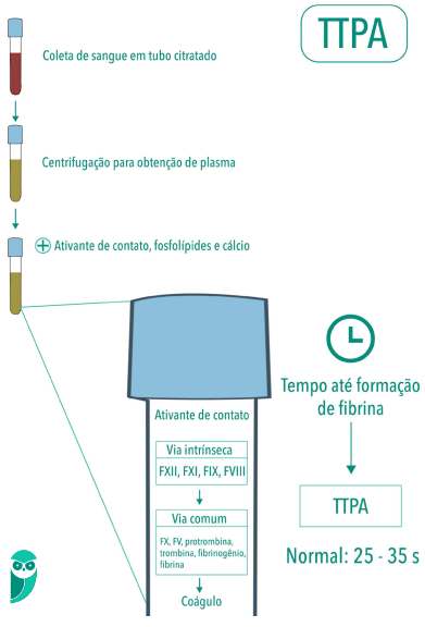 o que é coagulograma