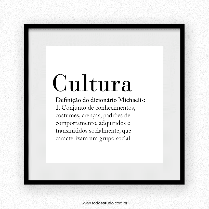 definição antropológica de cultura